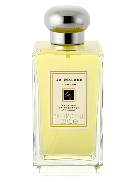 Verbenas of Provence