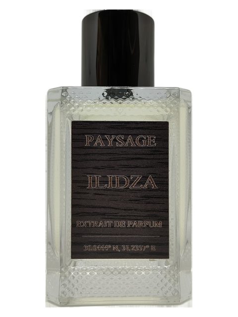 Ilidza