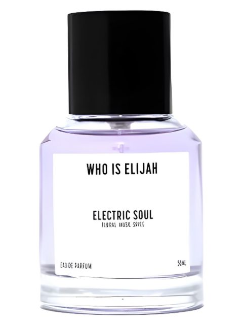 Electric Soul