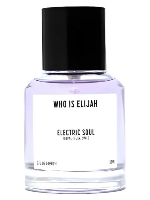 Electric Soul