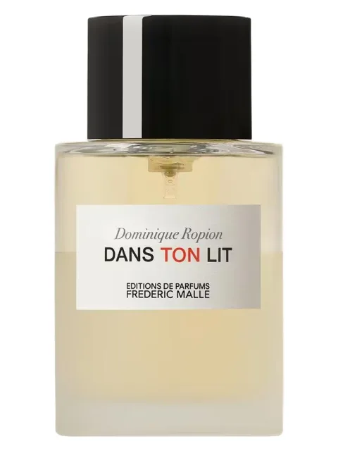 Dans Ton Lit