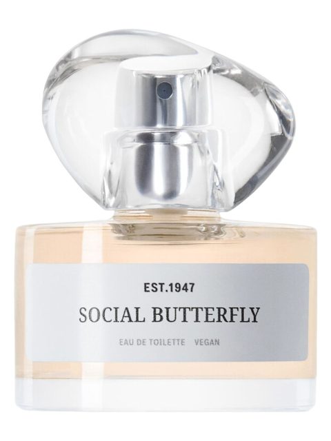 Social Butterfly