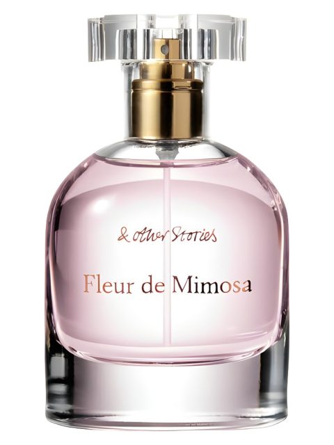 Fleur de Mimosa