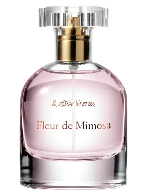 Fleur de Mimosa