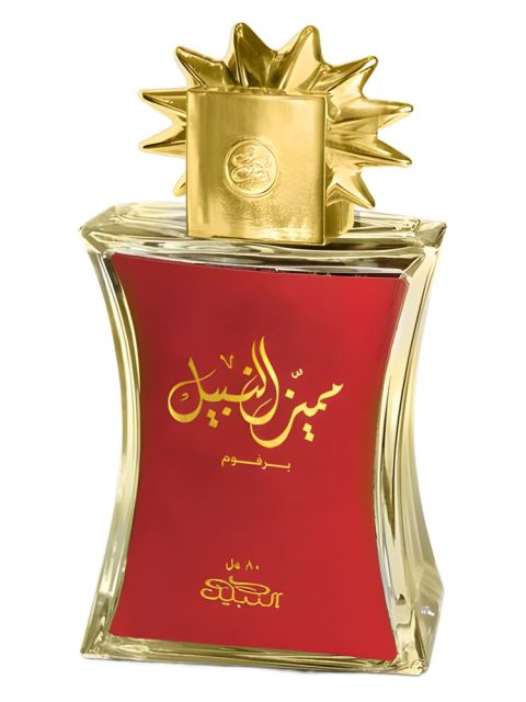 Mumaiyaz Al Nabeel
