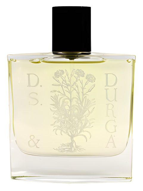 Osmanthus