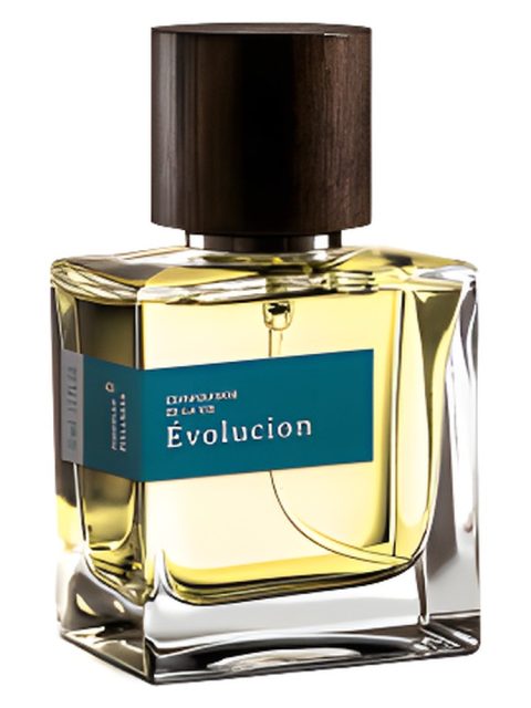 Évolucion