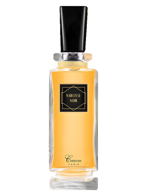 Narcisse Noir