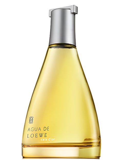 Agua de Loewe Cala d'Or