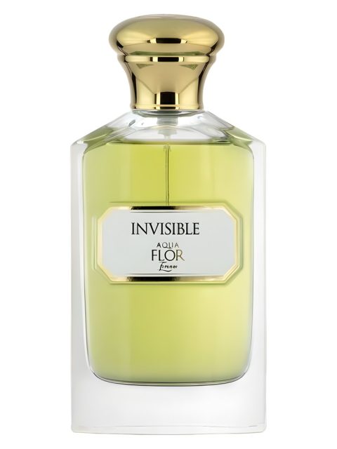 Invisible
