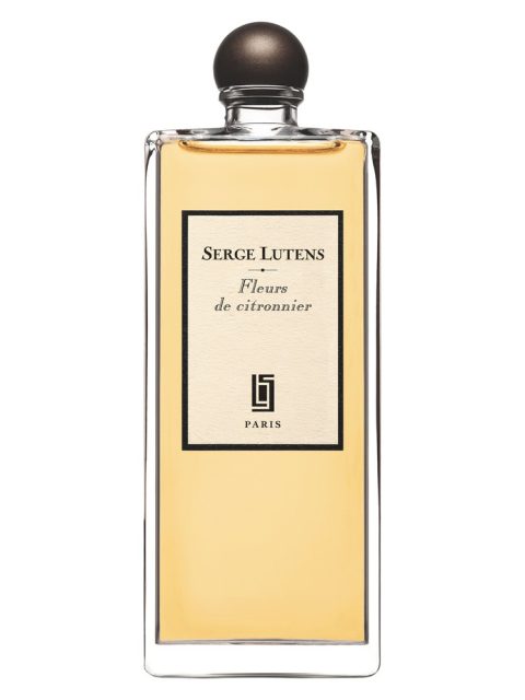 Fleurs de Citronnier