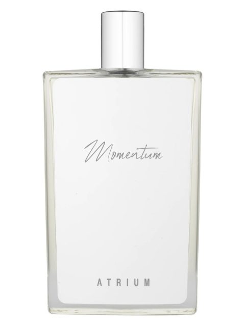 Momentum