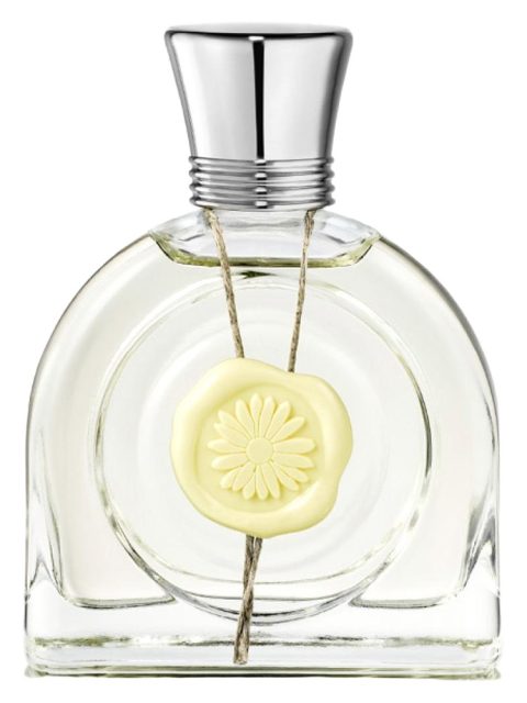 Fleur Lumière