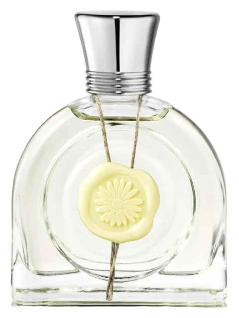 Fleur Lumière