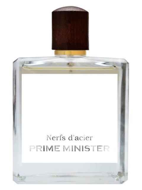 Nerfs d'acier