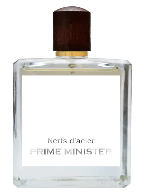 Nerfs d'acier