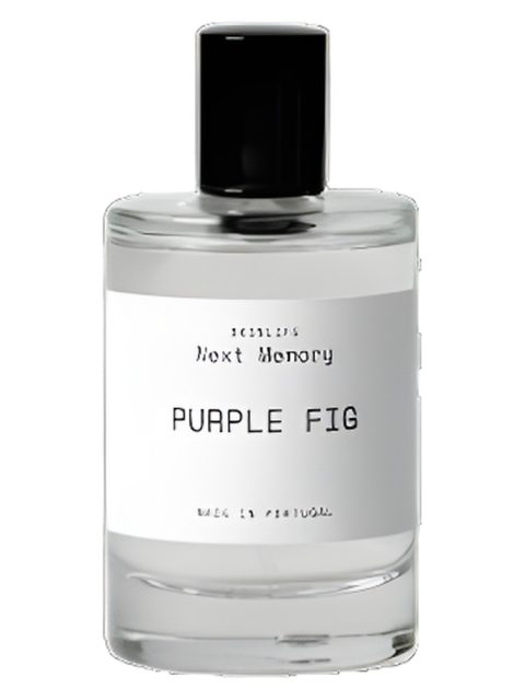 Purple Fig
