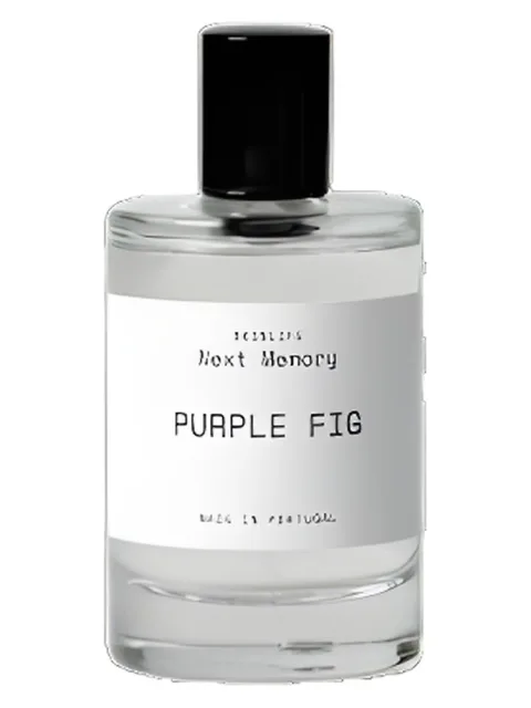 Purple Fig