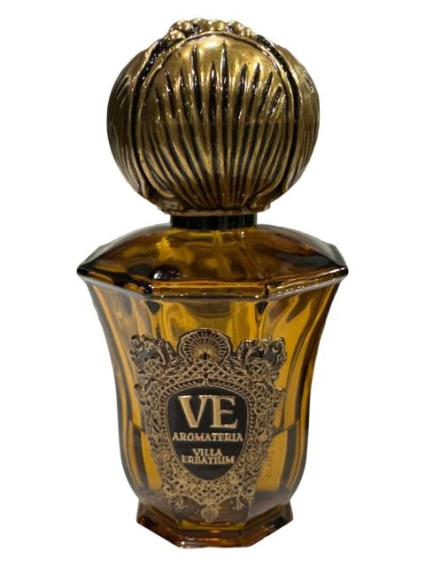 Scent of Seoul