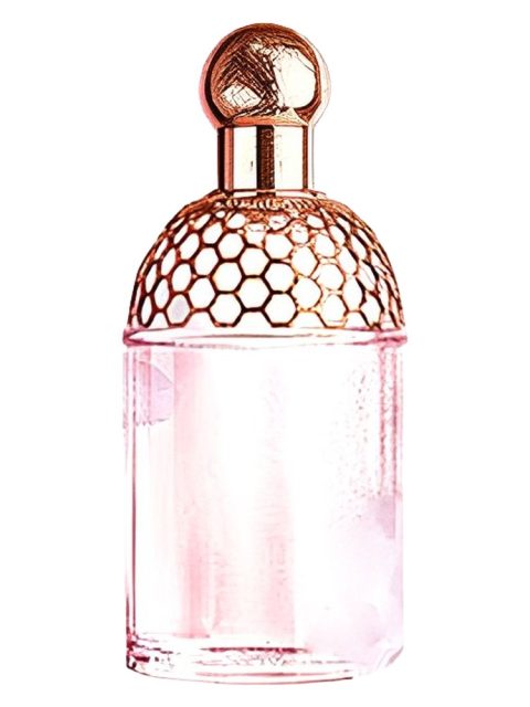 Aqua Allegoria Cherry Blossom