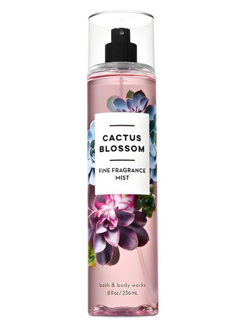 Cactus Blossom