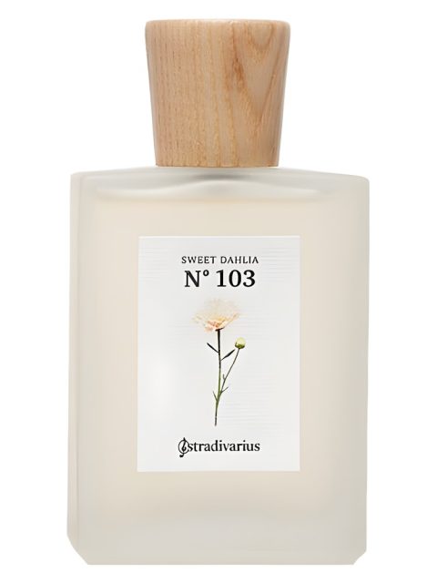 N° 103 Sweet Dahlia
