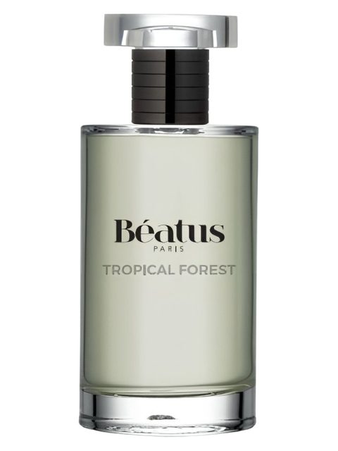 Tropical Forest