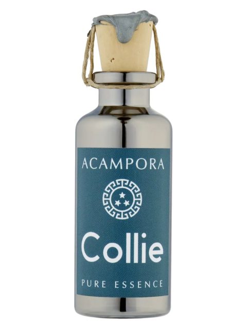 Collie – Pure Essence