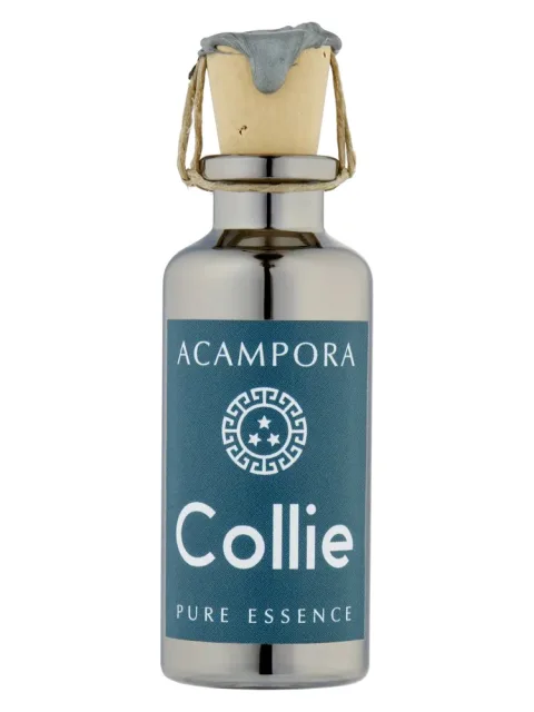 Collie – Pure Essence