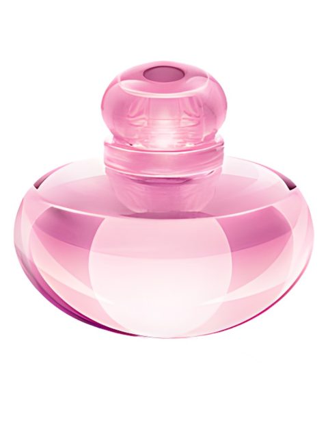 Volare Magnolia