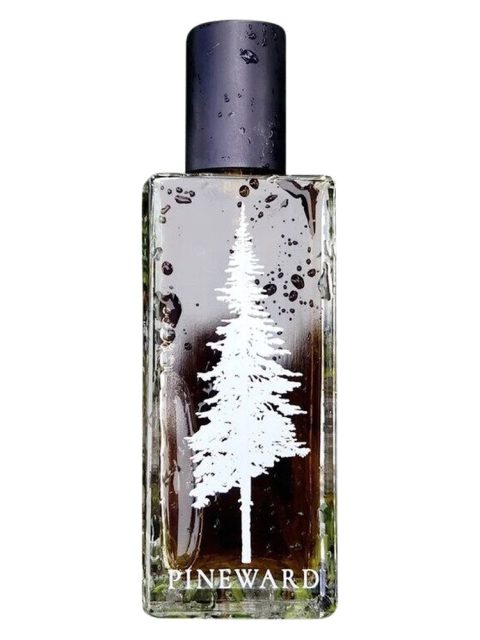 Juniperus