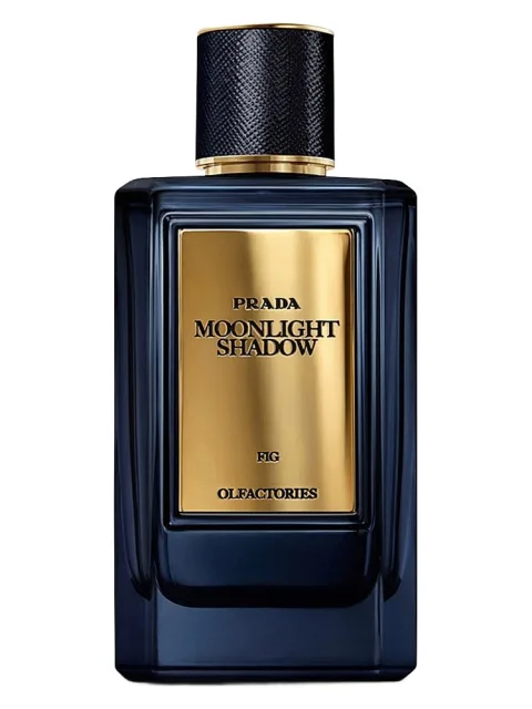 Mirages Moonlight Shadow