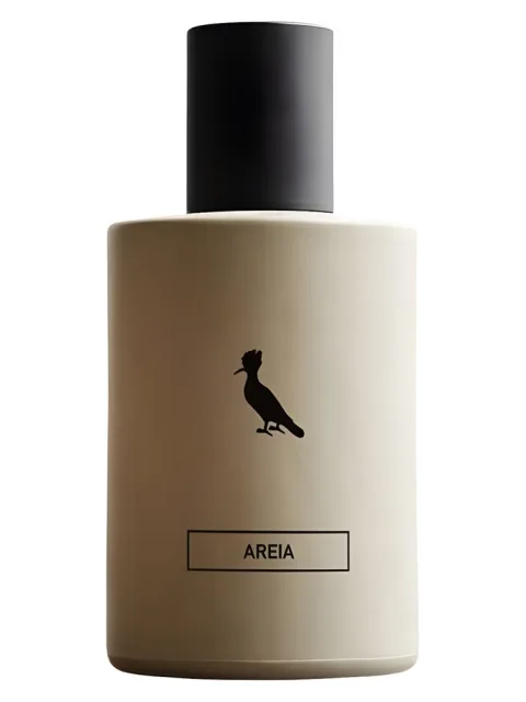 Areia