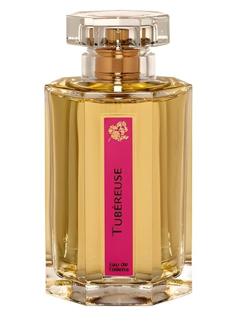 Tubereuse