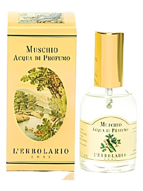 Muschio