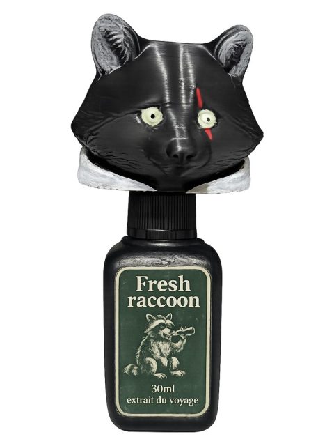 Fresh Racoon