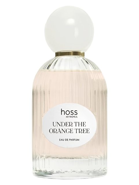 Under The Orange Tree