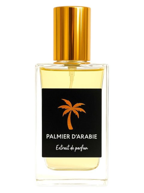 Palmier D'Arabie