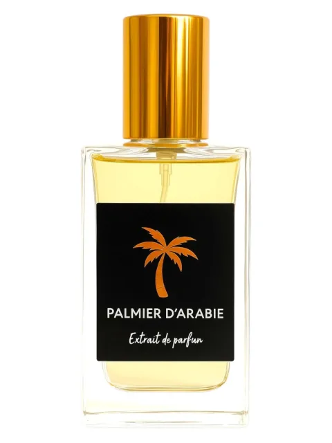 Palmier D'Arabie