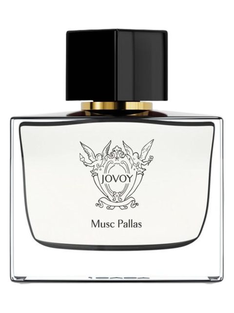 Musc Pallas