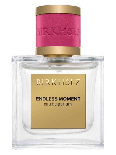 Endless Moment