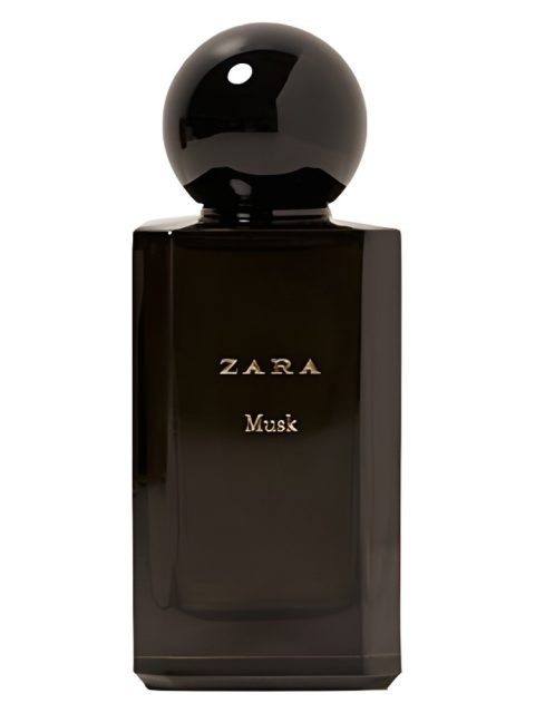Zara Musk