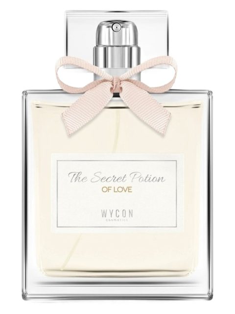 The Secret Potion of Love