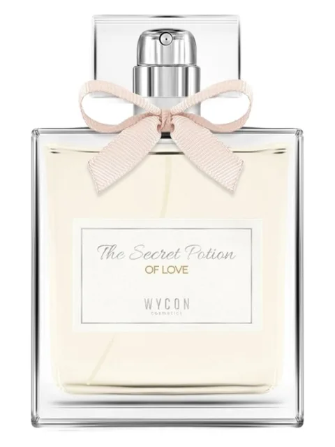 The Secret Potion of Love