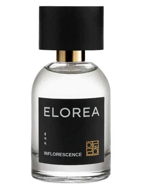 INFLORESCENCE (송아리)