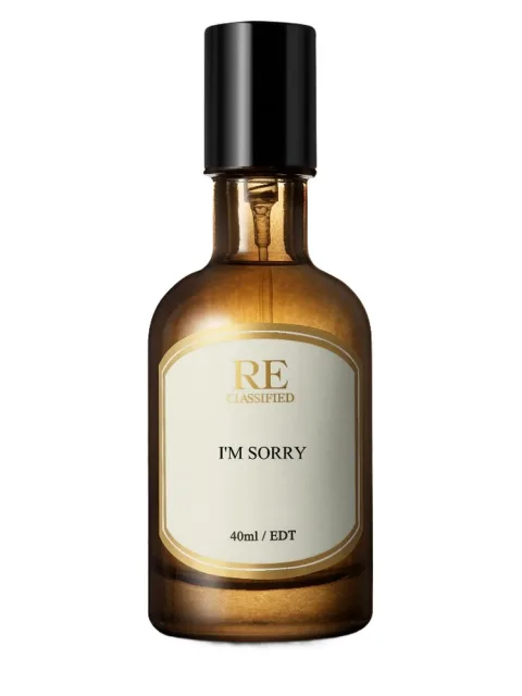 I'm Sorry 对不起