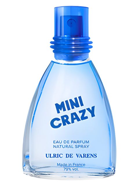 Mini Crazy
