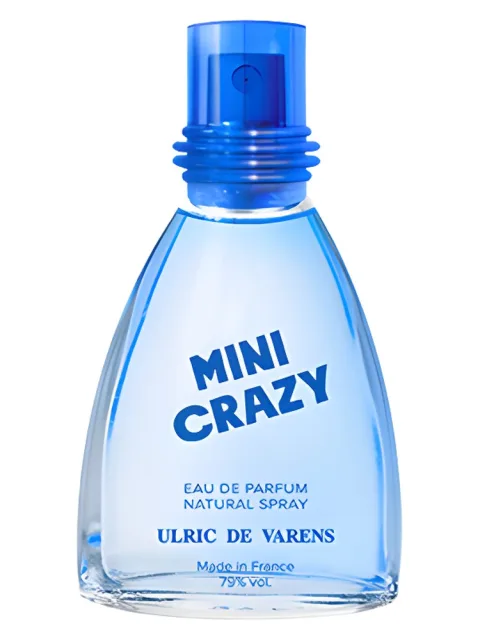 Mini Crazy