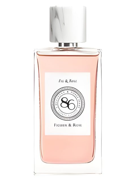 Figuier & Rose