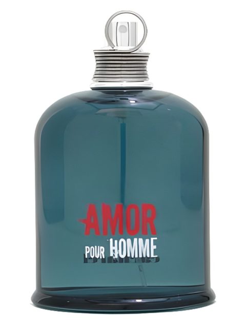 Amor pour Homme